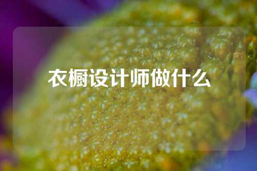 衣橱设计师做什么