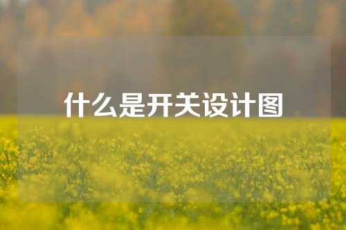 什么是开关设计图