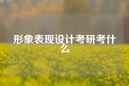 形象表现设计考研考什么