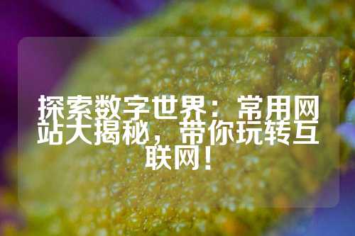 探索数字世界：常用网站大揭秘，带你玩转互联网！