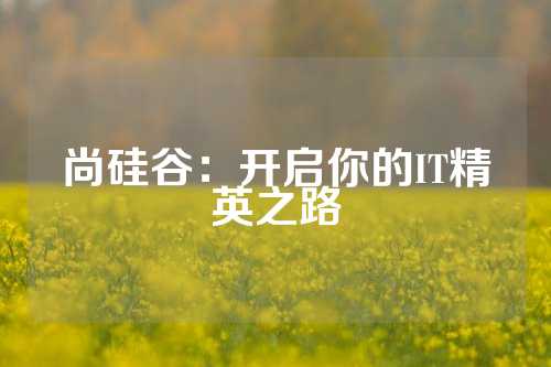 尚硅谷：开启你的IT精英之路