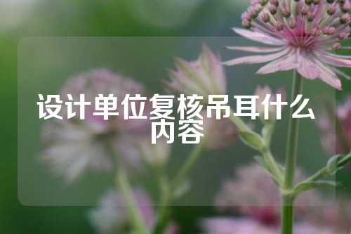 设计单位复核吊耳什么内容