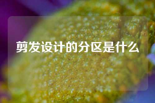 剪发设计的分区是什么
