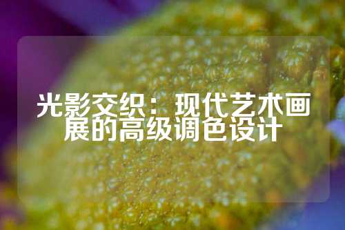 光影交织：现代艺术画展的高级调色设计