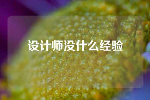 设计师没什么经验