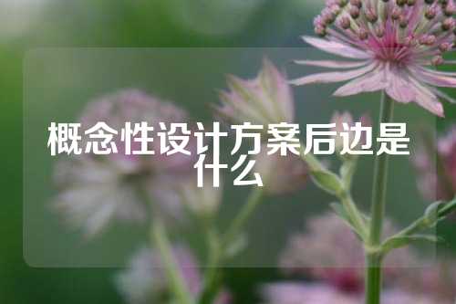 概念性设计方案后边是什么