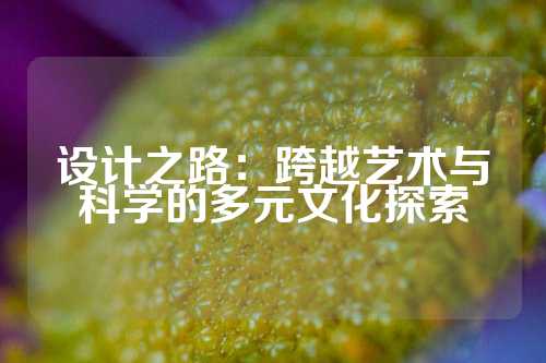 设计之路：跨越艺术与科学的多元文化探索