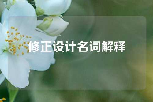 修正设计名词解释