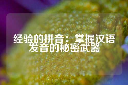 经验的拼音：掌握汉语发音的秘密武器