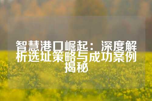 智慧港口崛起:深度解析选址策略与成功案例揭秘