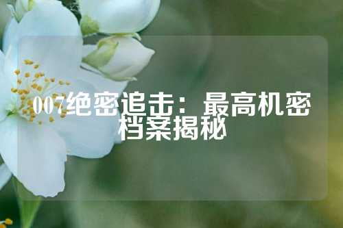 007绝密追击：最高机密档案揭秘