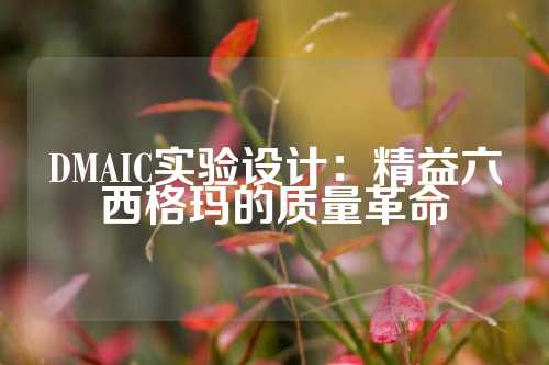 DMAIC实验设计：精益六西格玛的质量革命