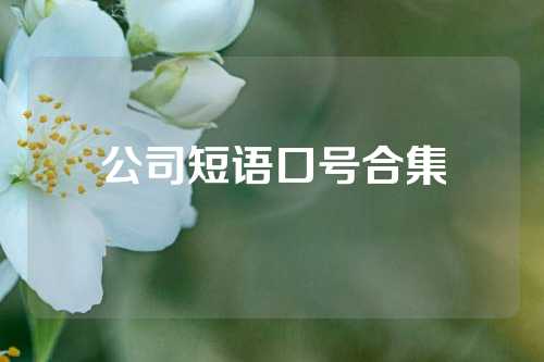 公司短语口号合集