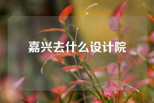 嘉兴去什么设计院