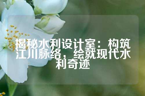 揭秘水利设计室：构筑江川脉络，绘就现代水利奇迹