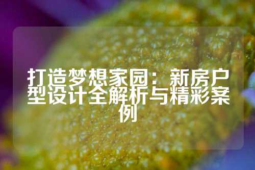 打造梦想家园：新房户型设计全解析与精彩案例