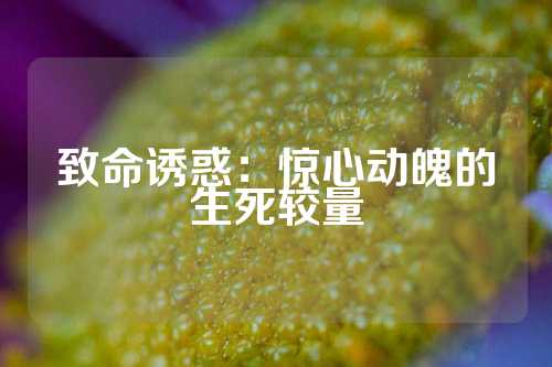 致命诱惑：惊心动魄的生死较量