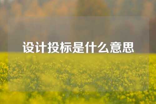 设计投标是什么意思